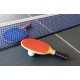 Настольный теннис (Пинг-понг)